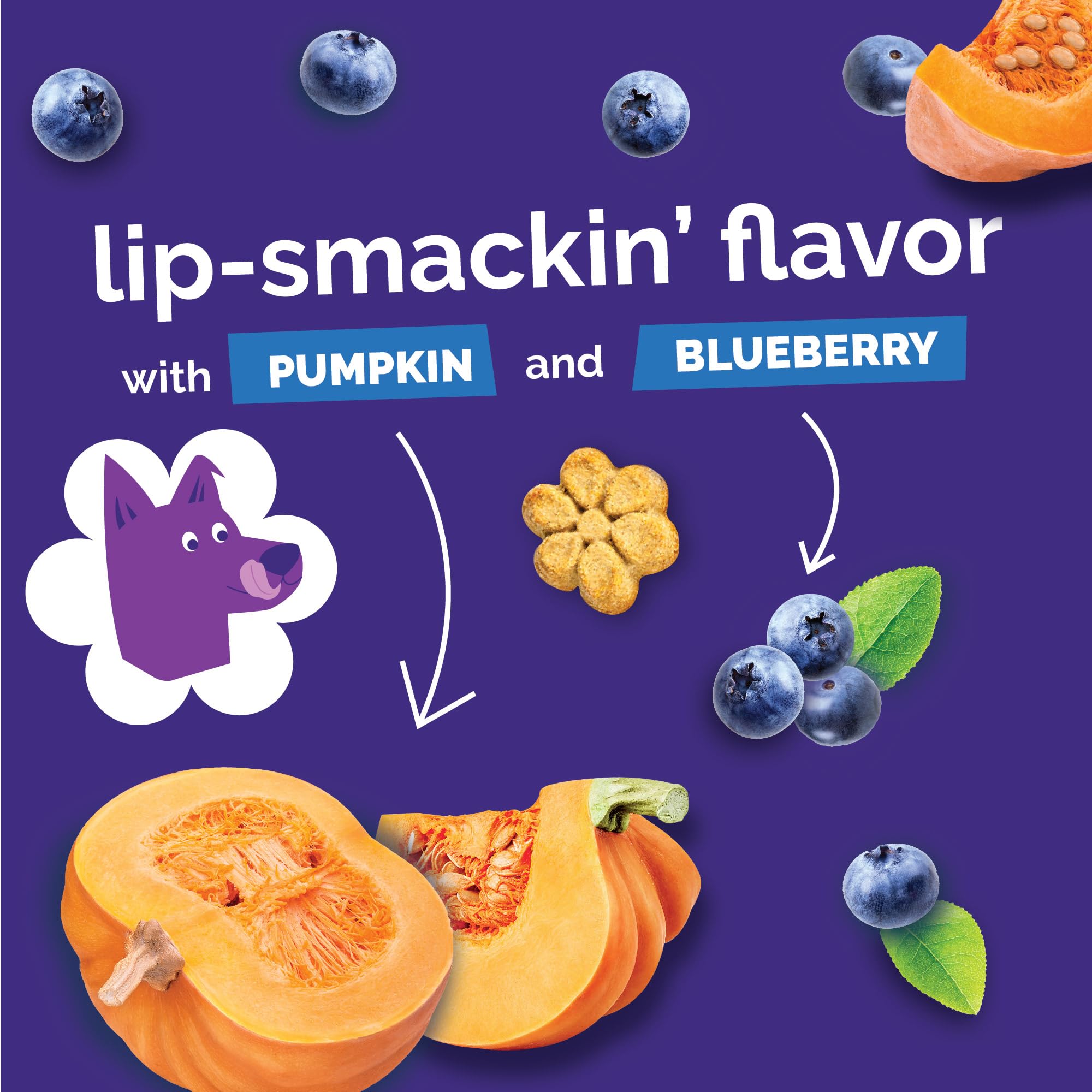 Fruitables Baked Dog Treats Variety 4 Pack pumpkin-cranberry close-up highlighting tangy flavor.