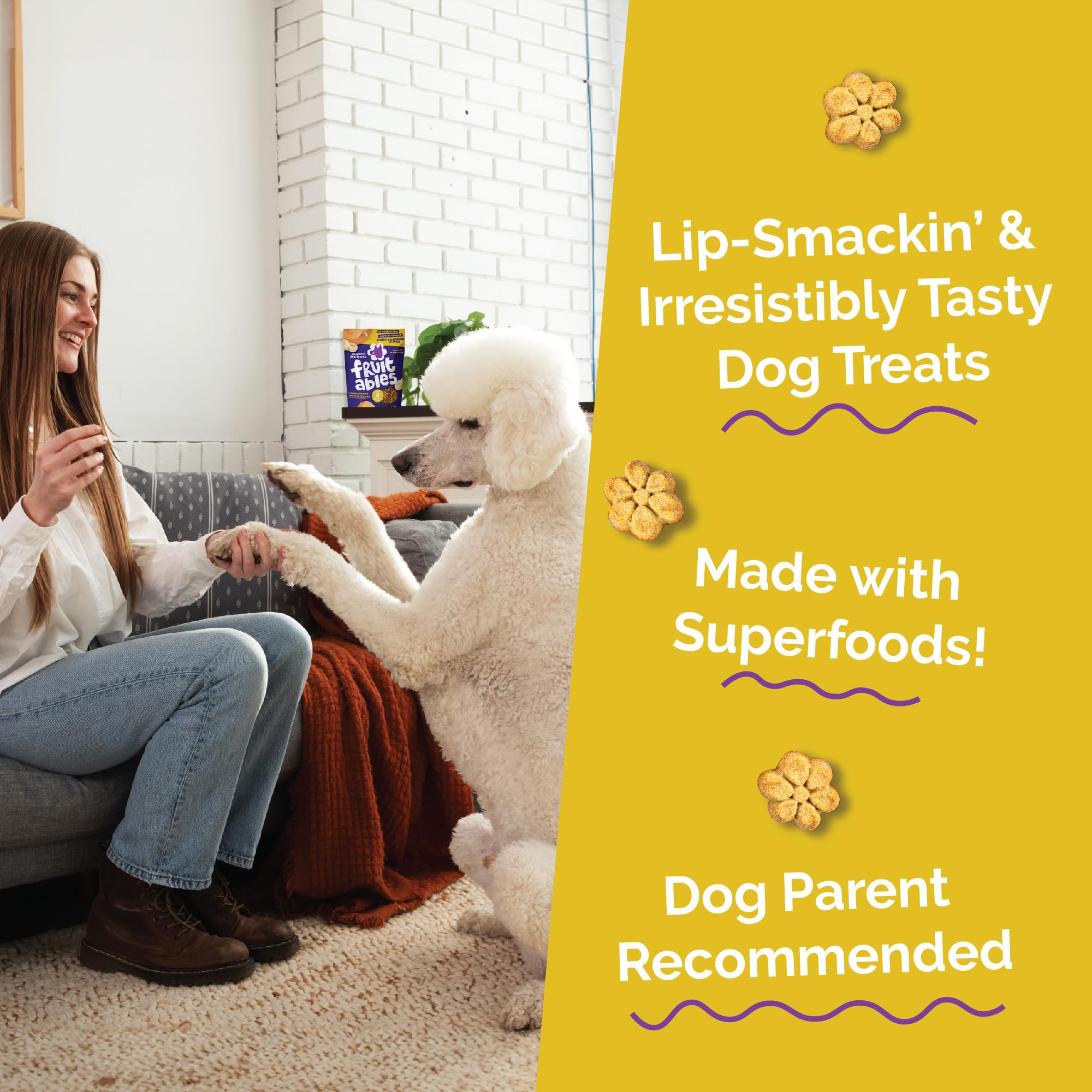 Fruitables Baked Dog Treats Variety 4 Pack snack time moment image featuring happy dog.
