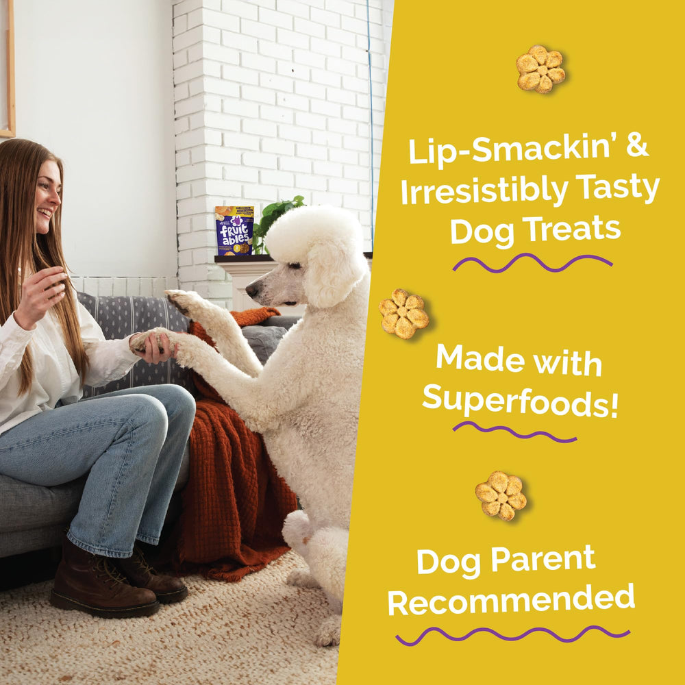 Fruitables Baked Dog Treats Variety 4 Pack snack time moment image featuring happy dog.