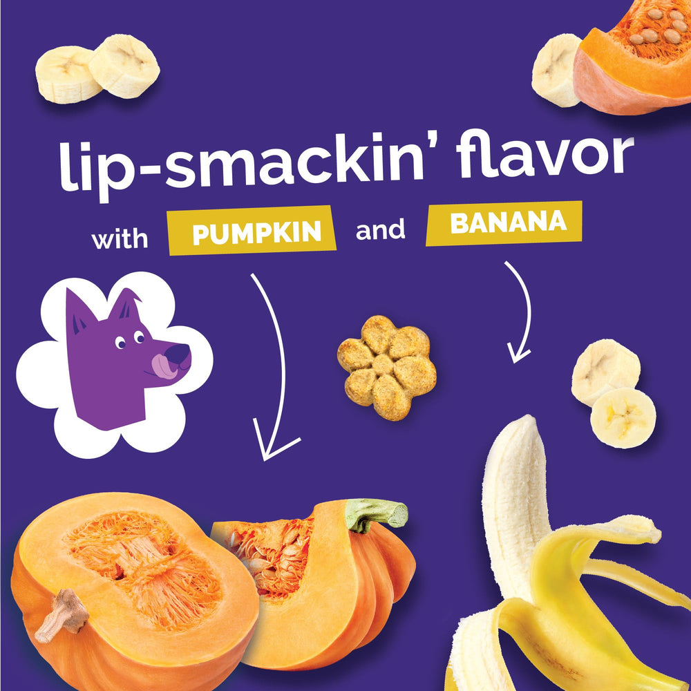 Fruitables Baked Dog Treats Variety 4 Pack image during training session.