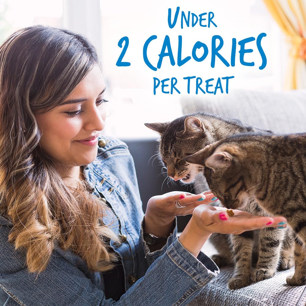 Low-calorie Fruitables treats presented as a light snack option for cats.