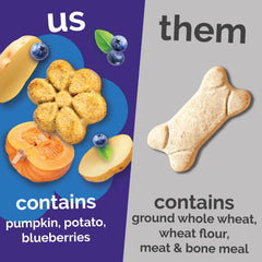 Fruitables crispy dog treat with pumpkin and blueberries.
