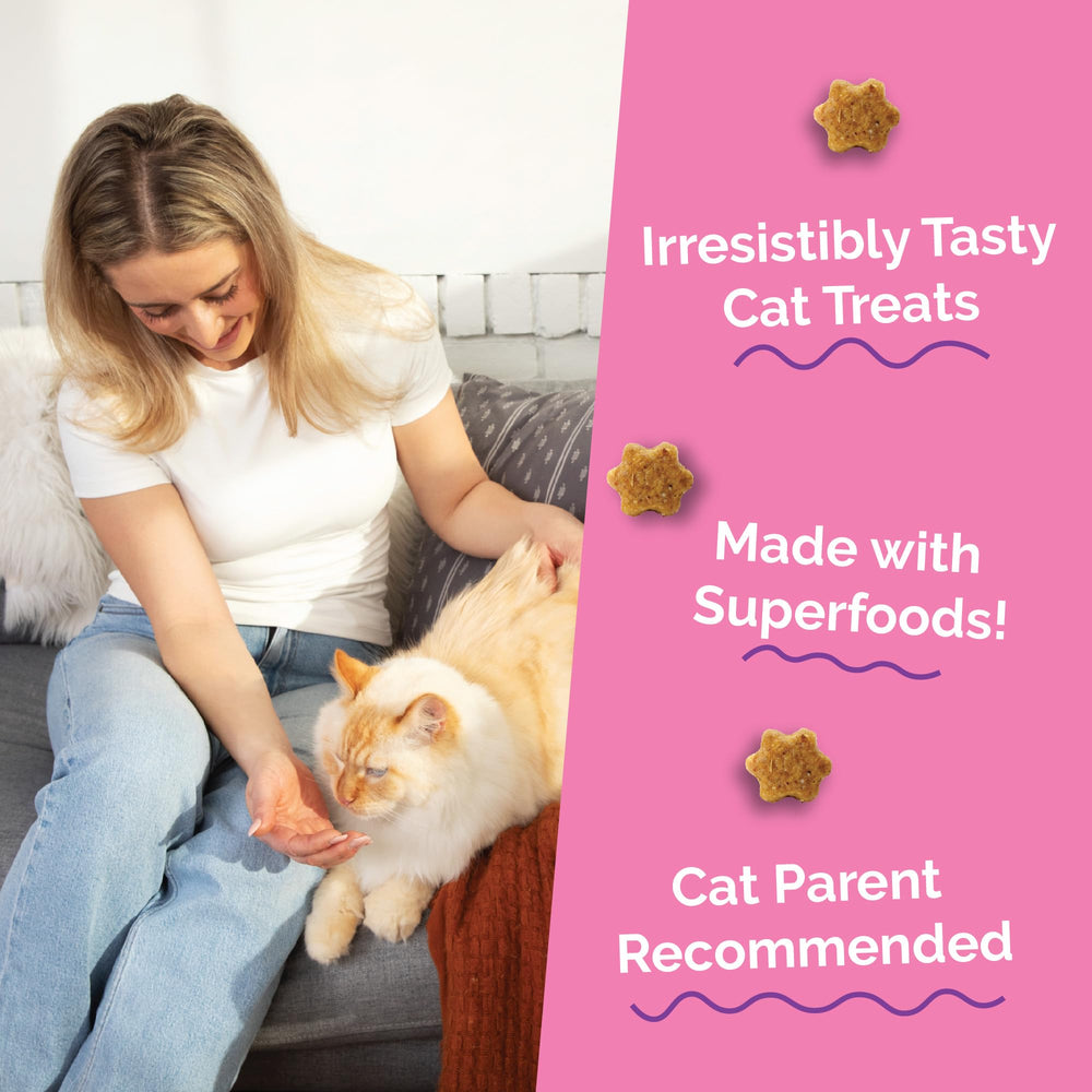 Fruitables salmon cranberry flavor close-up, aromatic treat that cats may enjoy during training.
