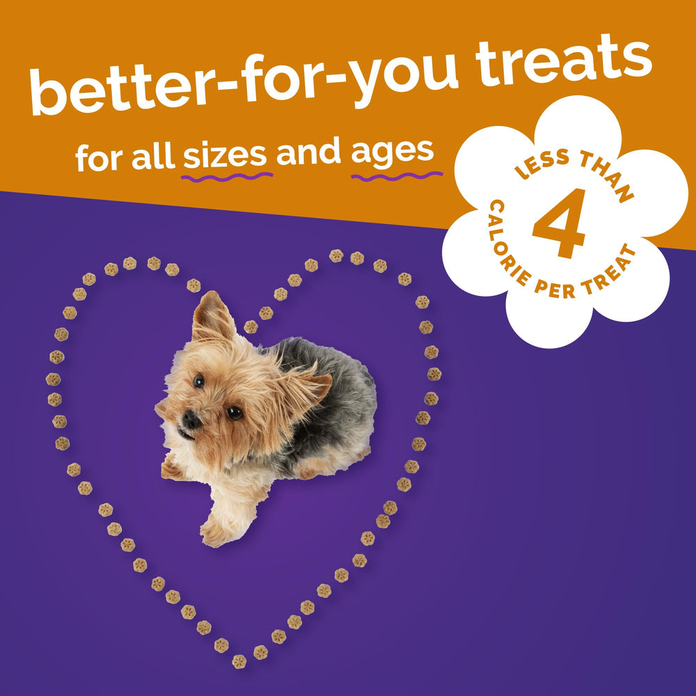 Fruitables Skinny Minis allergen-free no wheat corn soy for sensitive dogs.