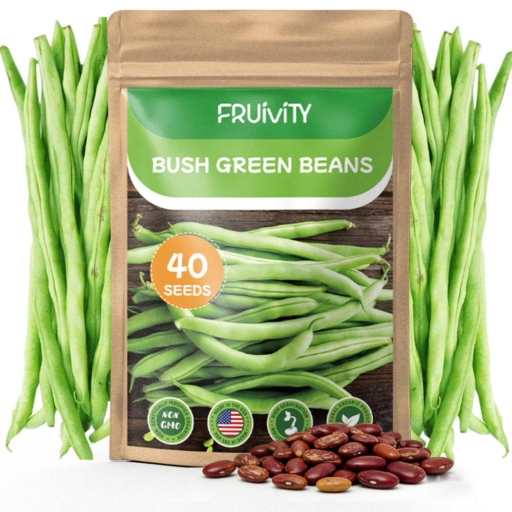 Fruivity 40 Contender bush bean seeds pack, ready for home garden and fresh harvest.
