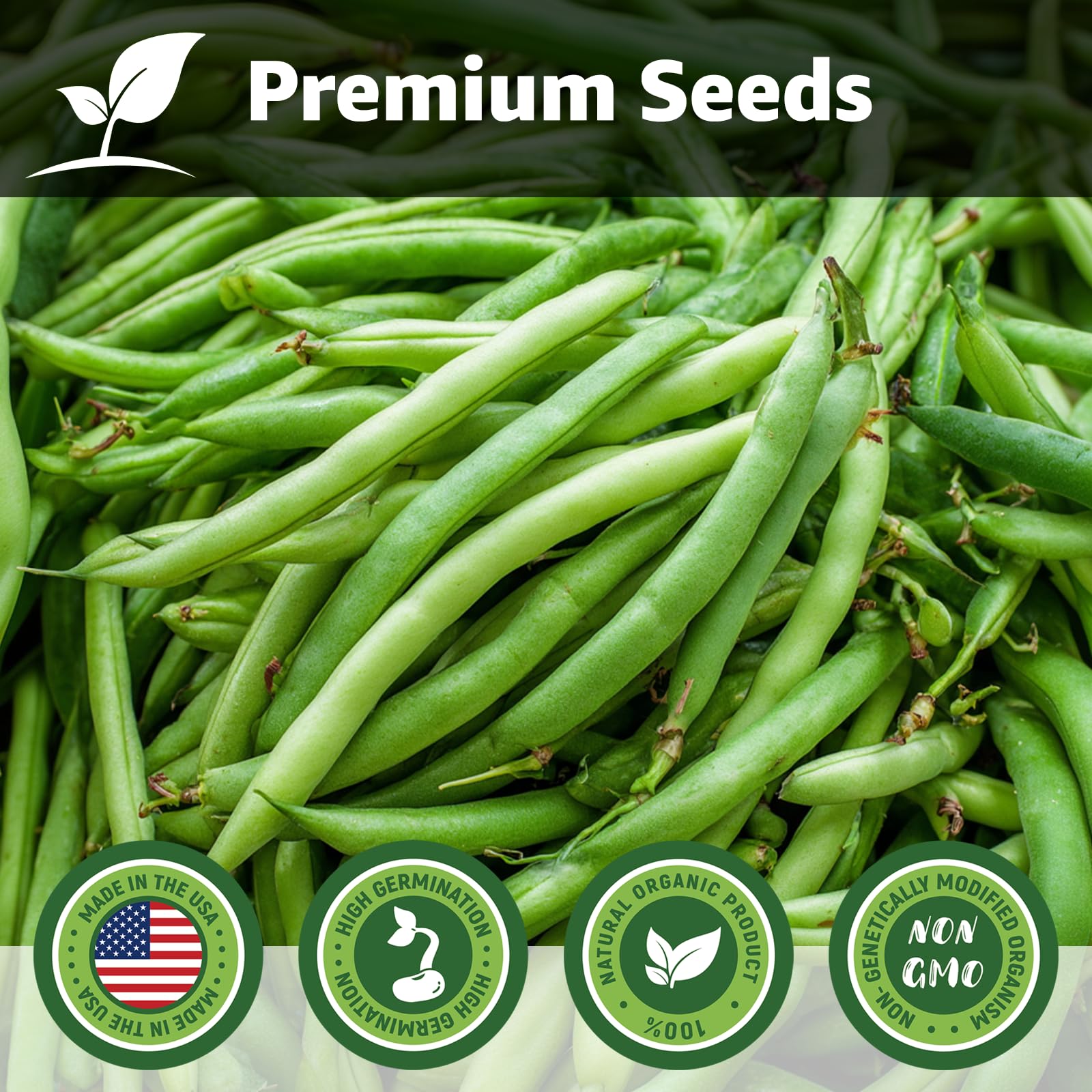Fruivity 40 Contender bush bean seeds closeup, fast germination supports quick harvest planning.