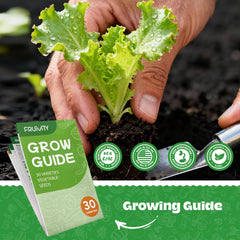 Fruivity garden tools with leaf clipper for precise trimming.
