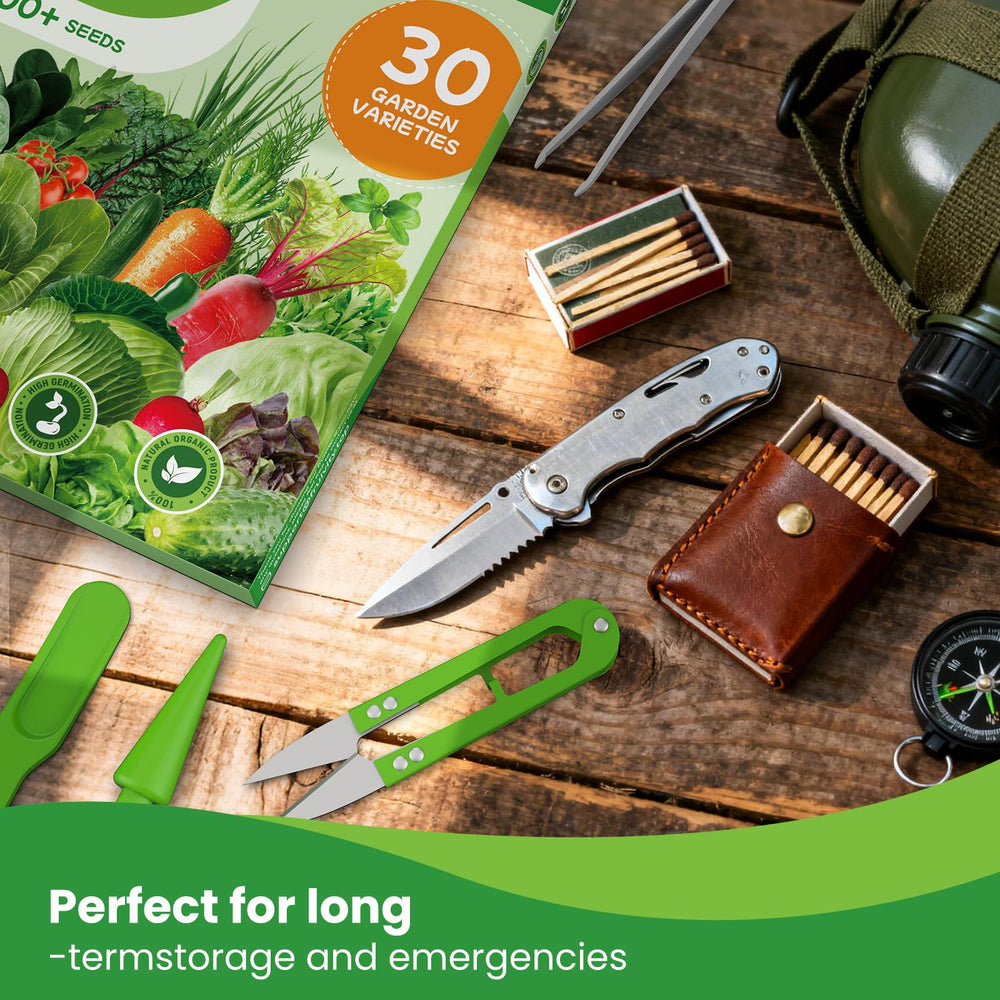 Fruivity indoor hydroponic-ready kit enabling versatile growing spaces.