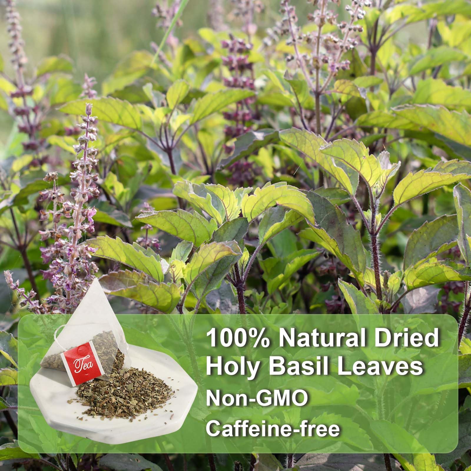 FullChea Tulsi Tea Bags 40-count, convenient daily cup for calm moments.