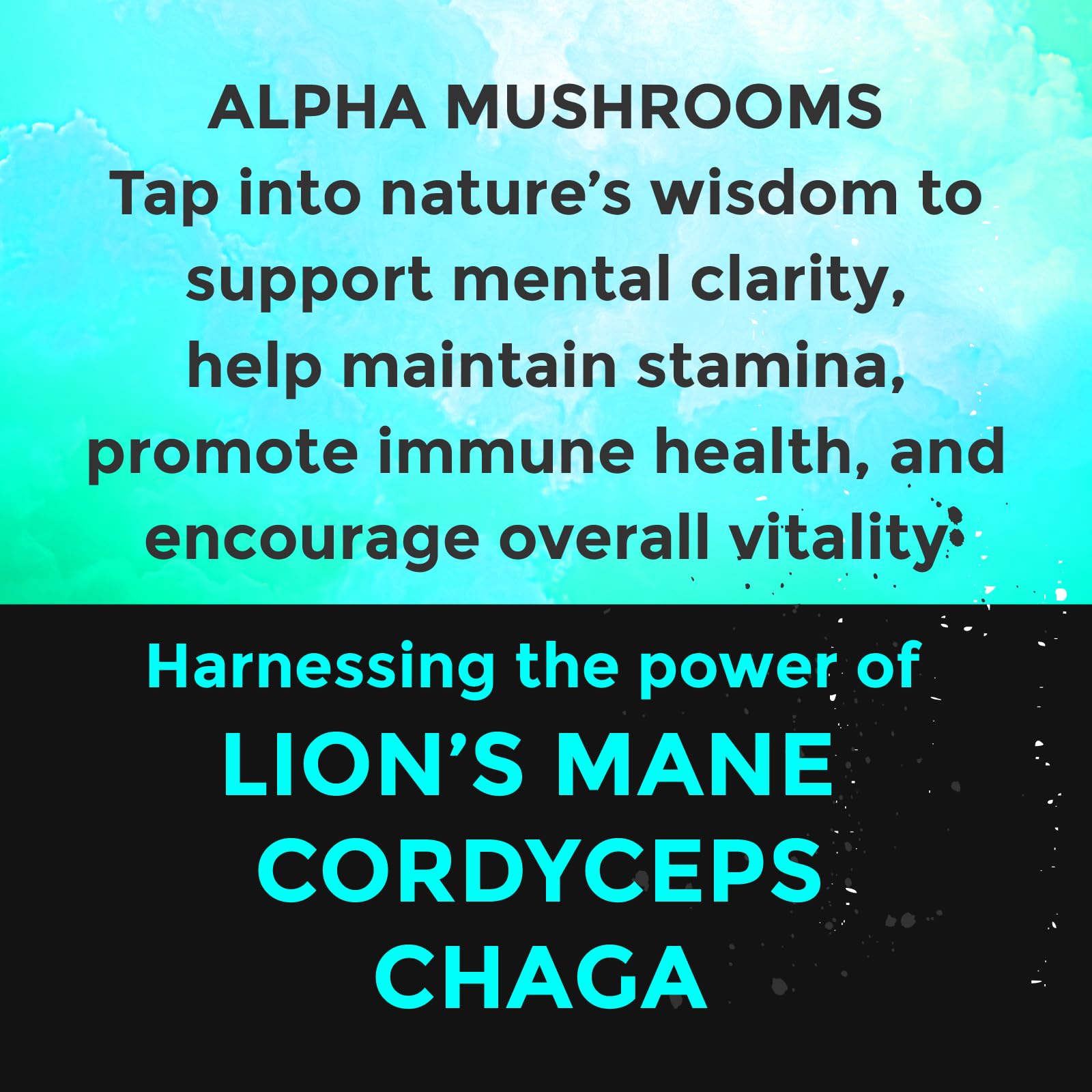 Fully Loaded Bullseye Alpha Chaga closeup emphasizing immune-supporting mushroom blend.