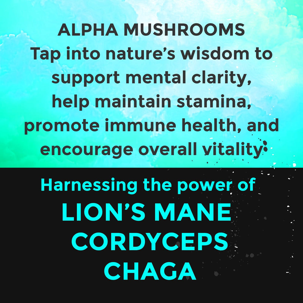 Fully Loaded Bullseye Alpha Chaga closeup emphasizing immune-supporting mushroom blend.