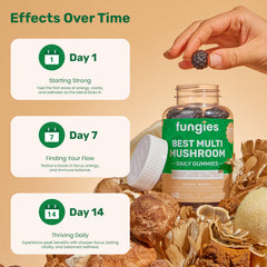 Fungies Best Multi Mushroom Gummies ingredients panel showing non-GMO quality.