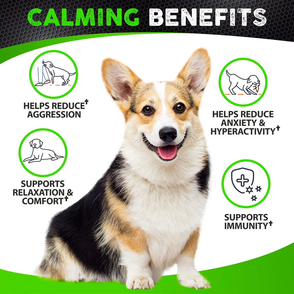 FURALAND hemp calming chews bottle image highlights chicken flavor and easy dosing for dogs.