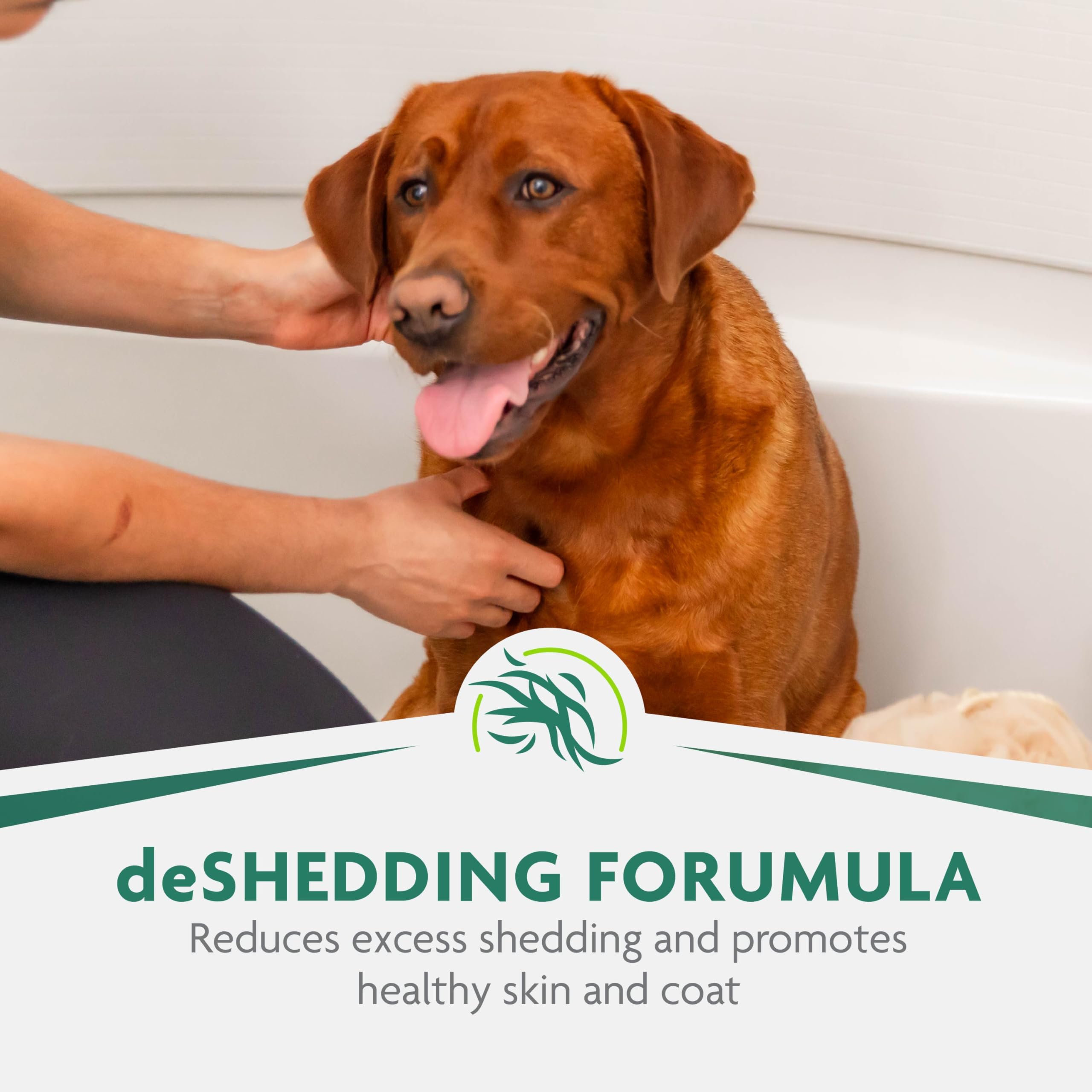 FURminator shampoo lathering frame shows even coat coverage during bath.