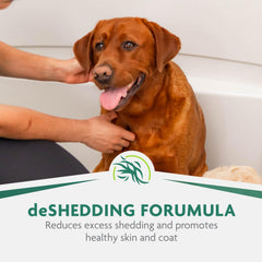 FURminator shampoo lathering frame shows even coat coverage during bath.