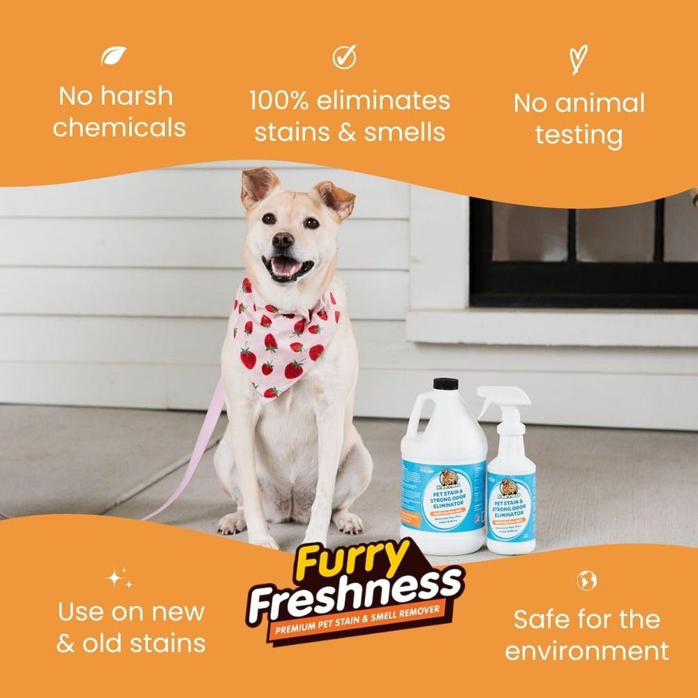 FurryFreshness carpet spot removal showing stain lifting on carpet.