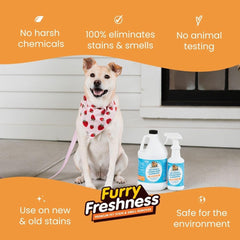 FurryFreshness carpet spot removal showing stain lifting on carpet.