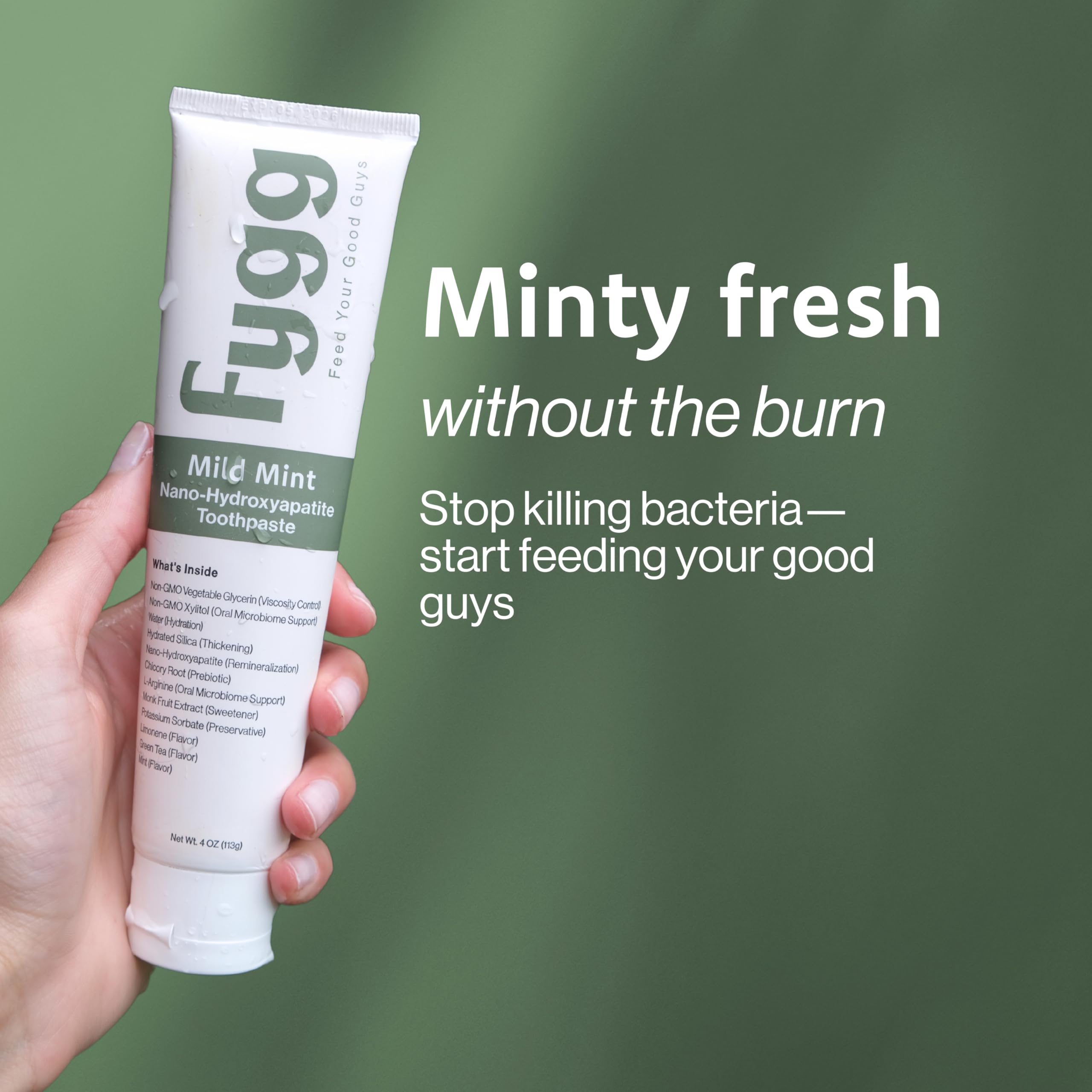 Fygg ingredient blend with xylitol and chicory root