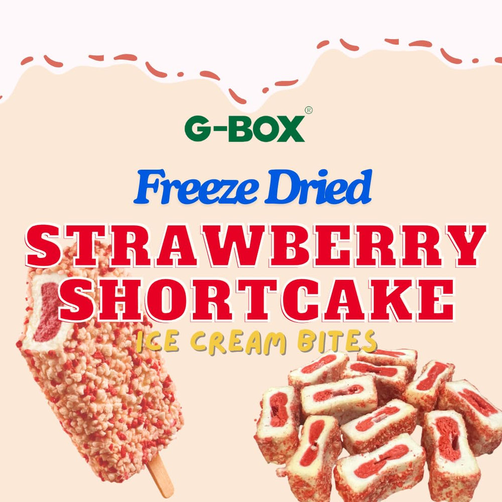 G-BOX air-tight deli container preserves freshness for on-the-go snacking.
