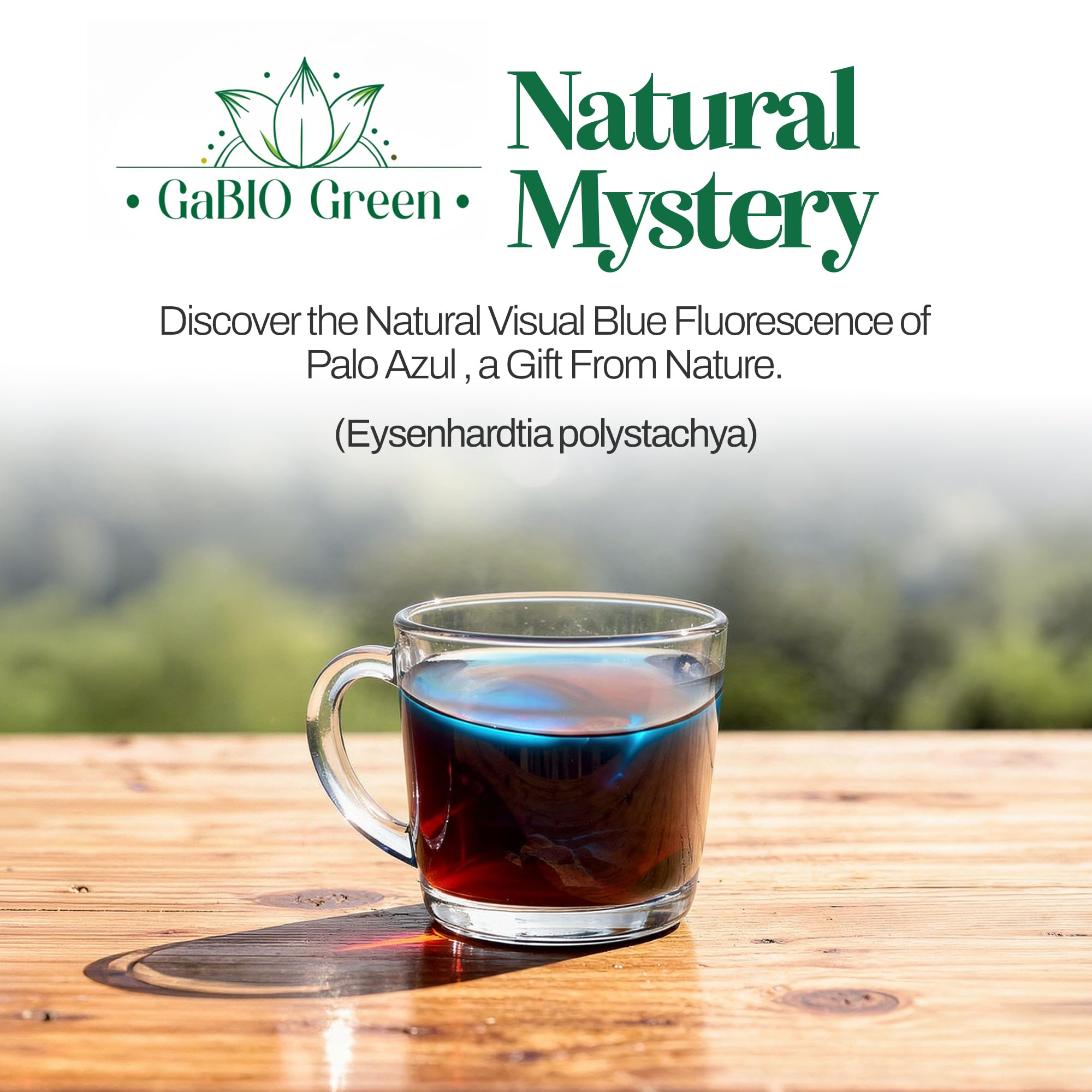Gabio Green kidneywood tea offers a rich, inviting aroma.