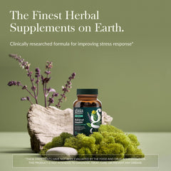 Gaia Herbs Adrenal Health Daily Support capsules ready to take with water.