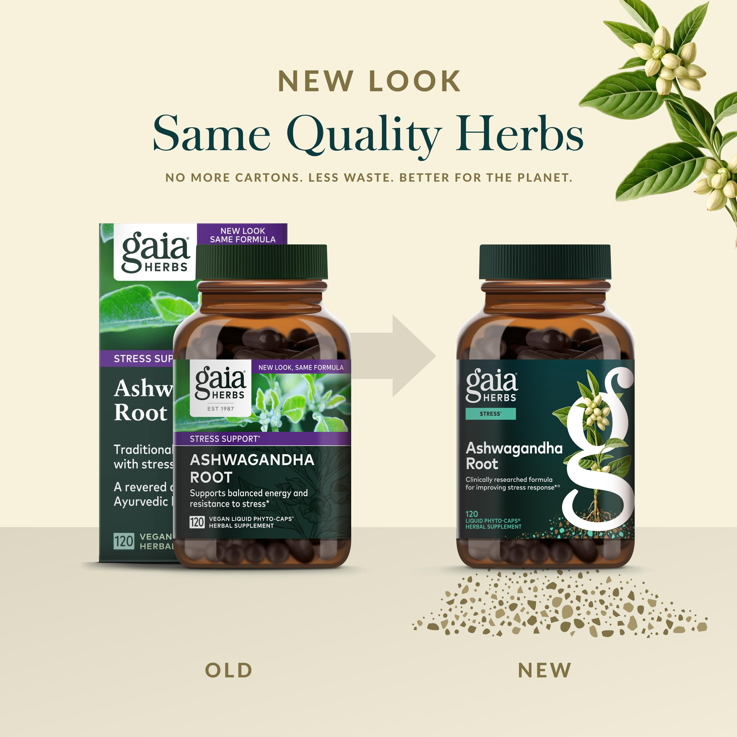 Gaia Herbs Ashwagandha Root on a shelf representing a daily wellbeing ritual.