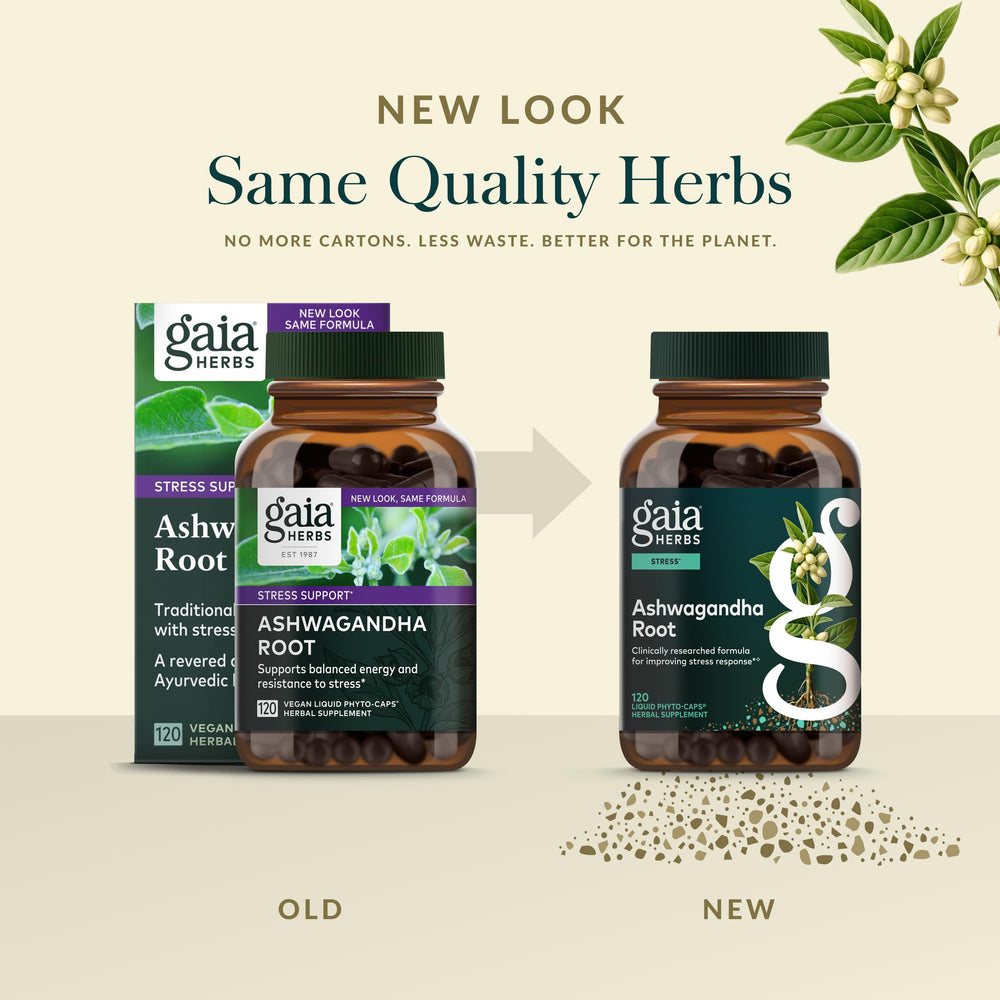 Gaia Herbs Ashwagandha Root on a shelf representing a daily wellbeing ritual.