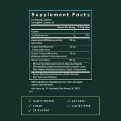 Gaia Herbs Ashwagandha root close-up highlighting adaptogens for stress resilience