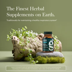 Gaia Herbs Black Seed Oil capsules label detail highlighting full-spectrum cold-pressed oil.