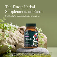 Gaia Herbs Cranberry Concentrate liquid phyto-caps close-up highlighting organic cranberry antioxidant support.