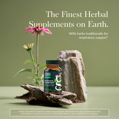 Gaia Herbs Echinacea Goldenseal capsules closeup highlighting plant-based formula.