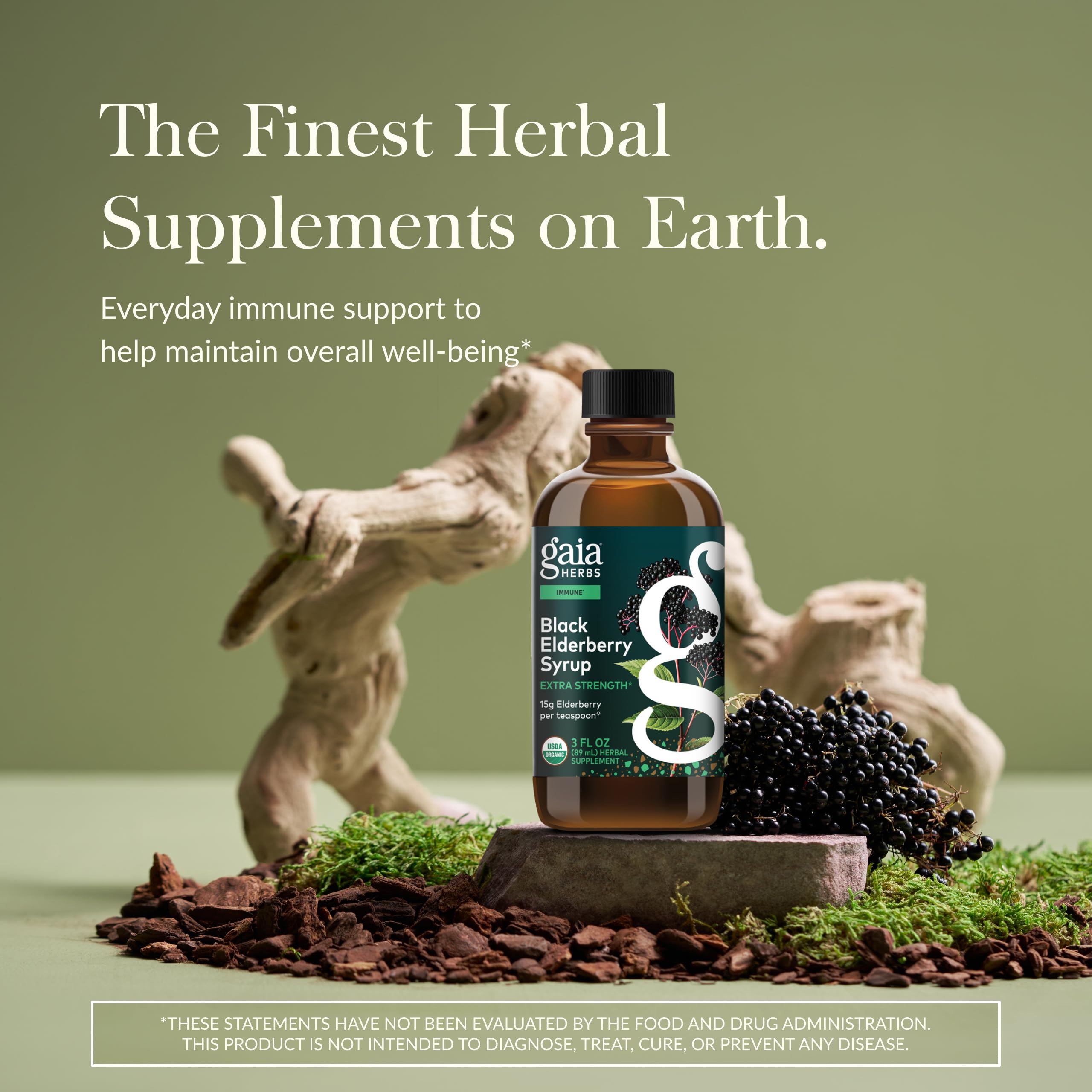 Gaia Herbs elderberry daily-serve image for immune health routine