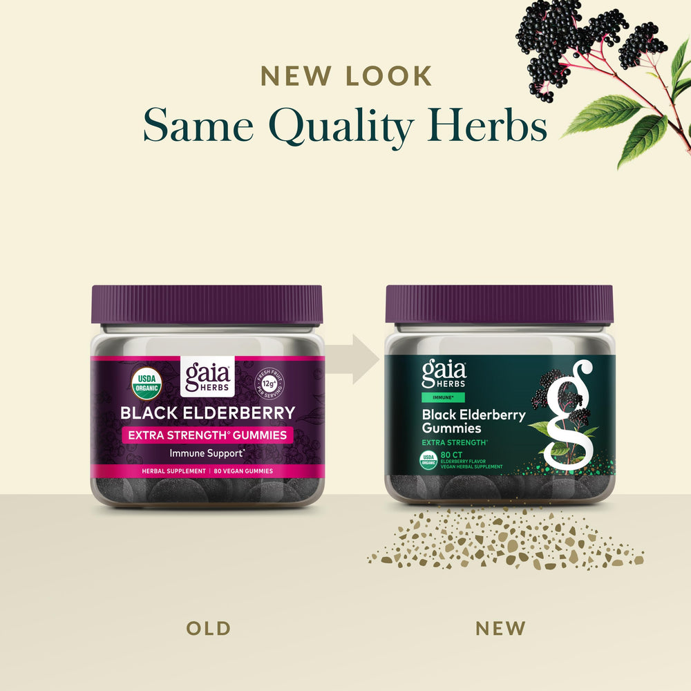 Gaia Herbs hand-harvested elderberries field emphasizes careful harvest