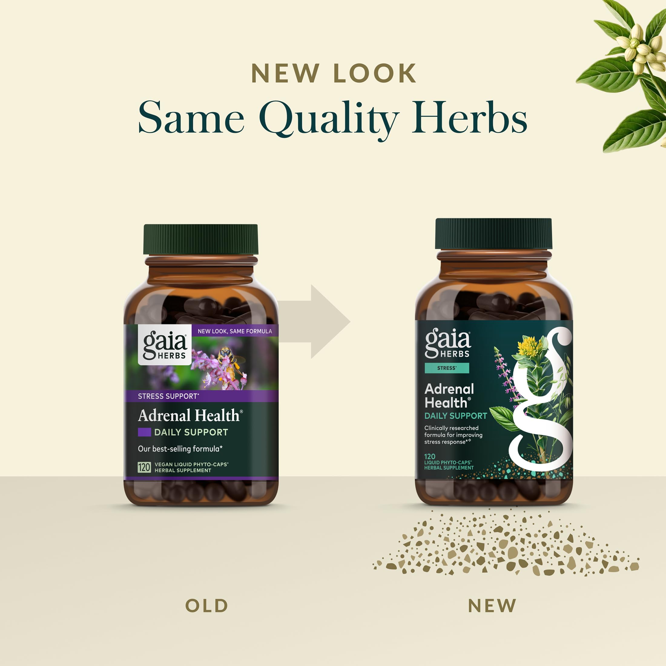 Gaia Herbs Holy Basil detail suggesting adaptogenic support for mood balance.