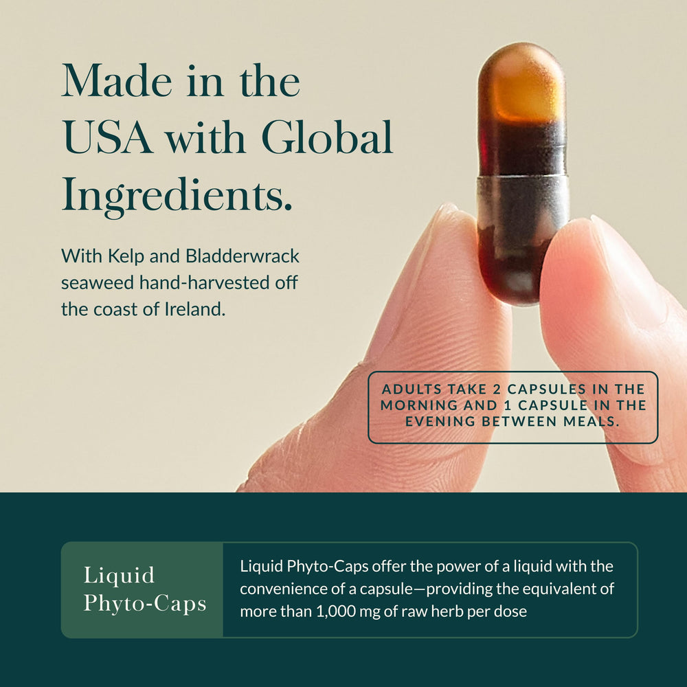 Organic kelp and brown seaweed from Ireland, supporting iodine-containing nutrition.