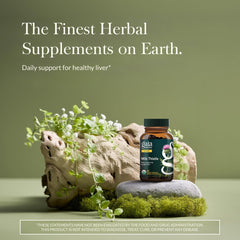 Gaia Herbs Milk Thistle capsules showing convenient vegan liver support daily use