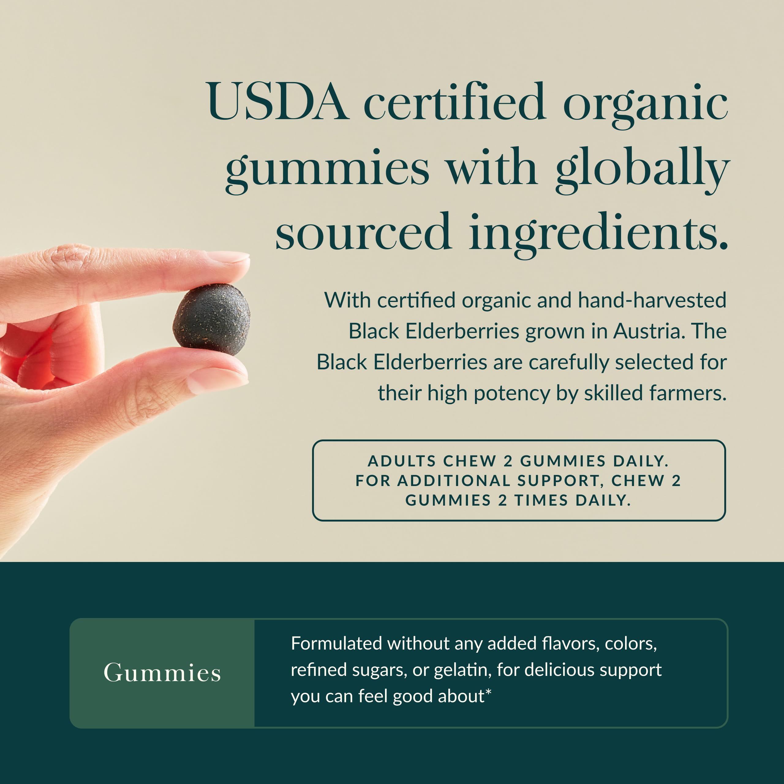 Gaia Herbs Non-GMO Project Verified seal signals trusted quality