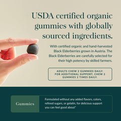 Gaia Herbs Non-GMO Project Verified seal signals trusted quality