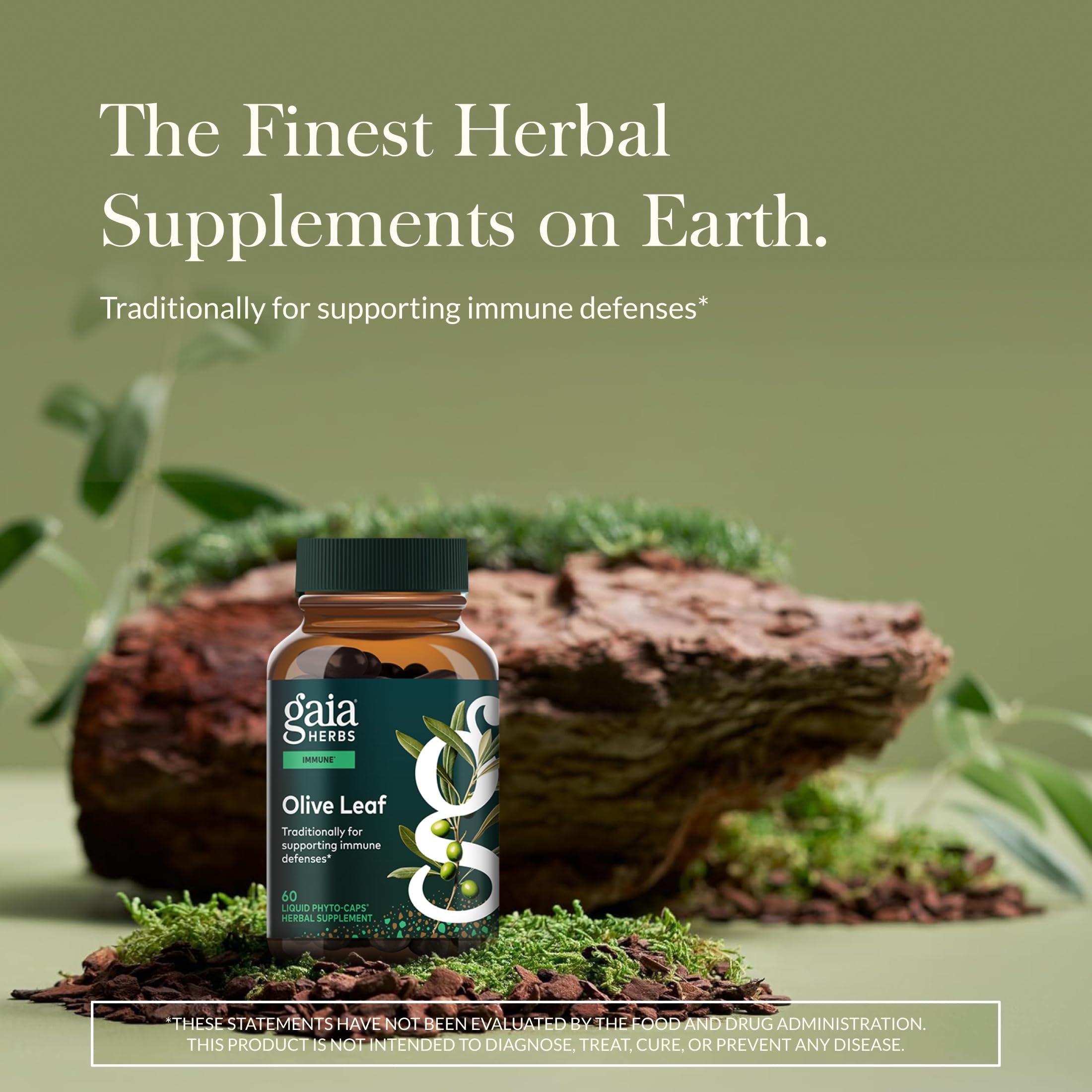 Gaia Herbs Olive Leaf amber bottle highlights premium extract for seasonal wellness