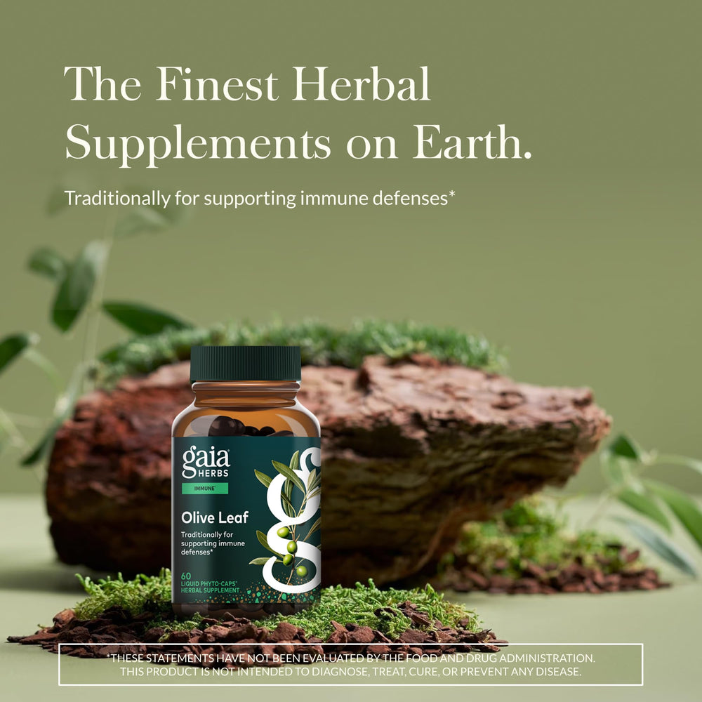 Gaia Herbs Olive Leaf amber bottle highlights premium extract for seasonal wellness