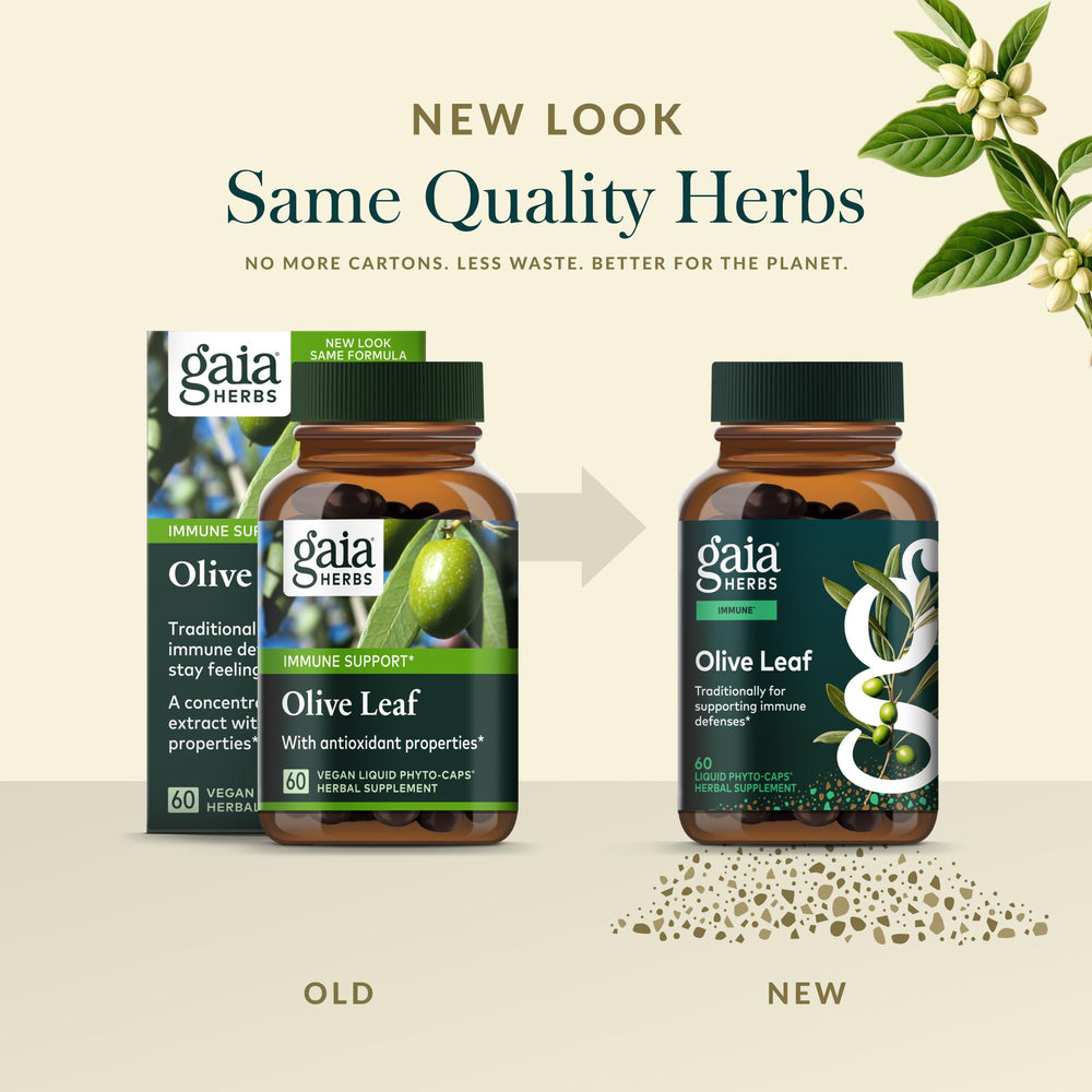 Gaia Herbs Olive Leaf olive tree aged specimen evokes traditional sourcing