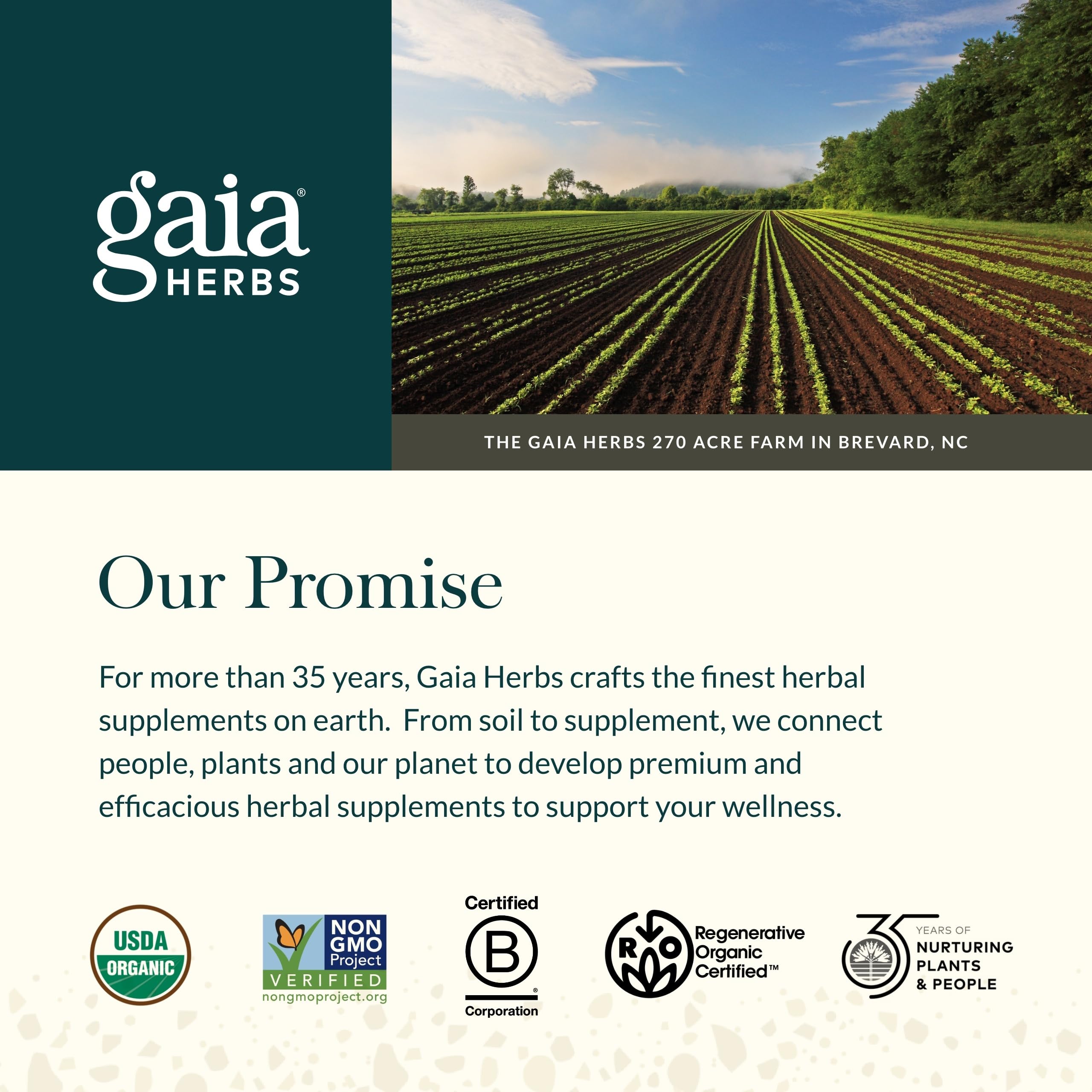 Beet root notes visible in Gaia Herbs Plant Force Liquid Iron blend.
