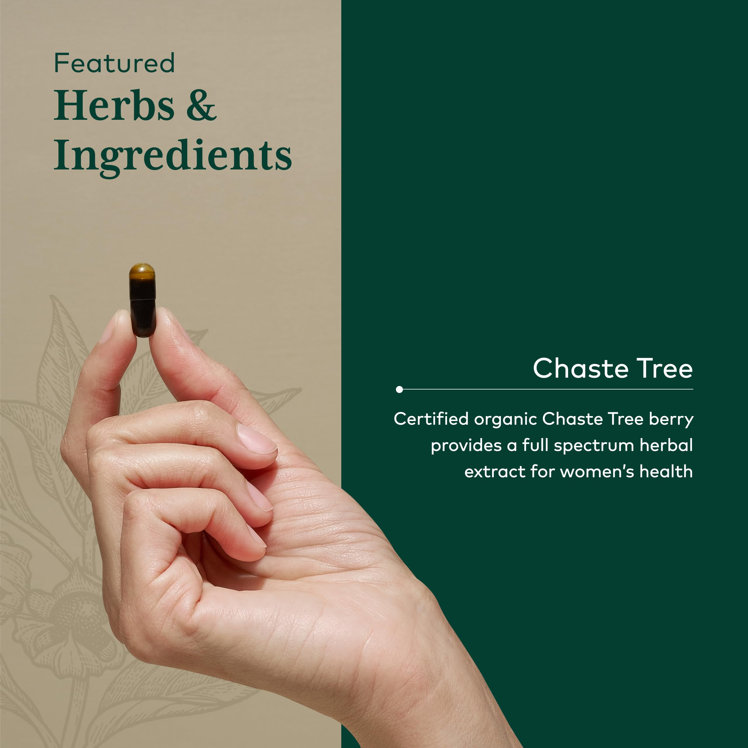 Batch testing seal indicating quality and potency.