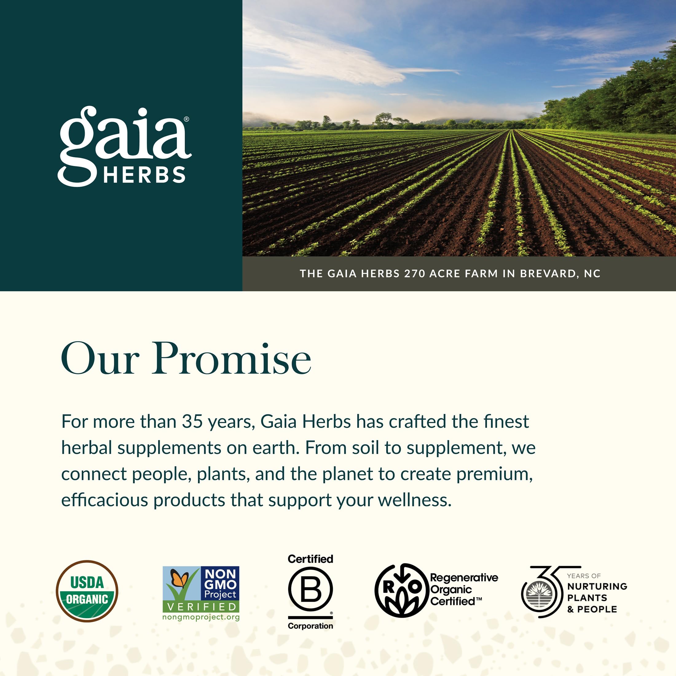 Gaia Herbs Quick Defense andrographis plant imagery representing herbal vitality