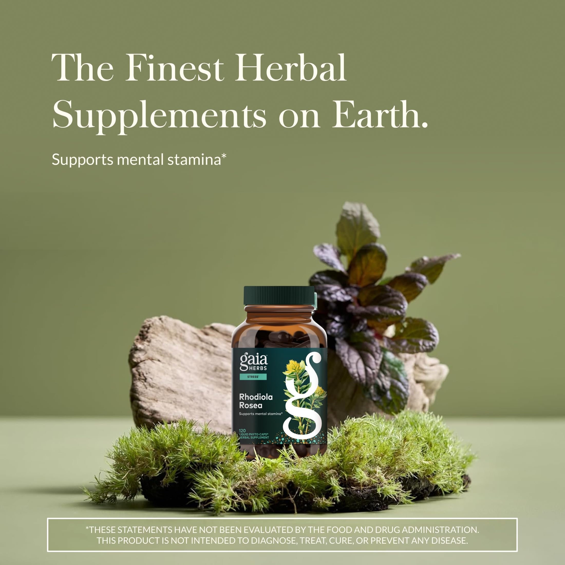 Gaia Herbs Rhodiola Rosea bottle back highlights vegan capsules and quality commitment
