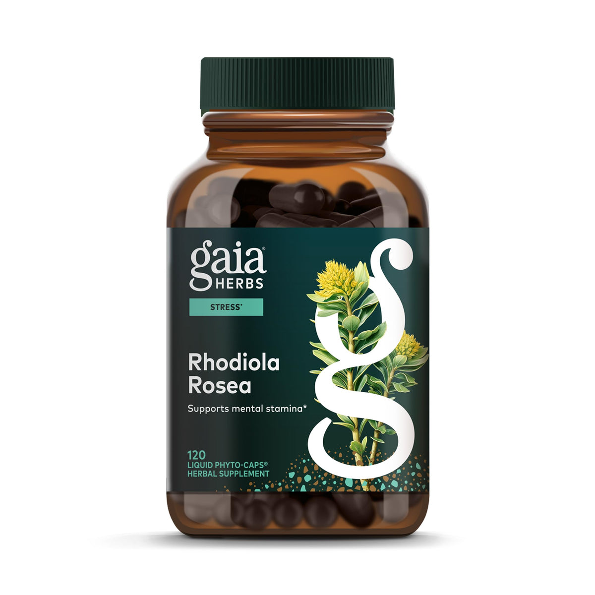 Gaia Herbs Rhodiola Rosea bottle front promotes balanced energy for daily routines