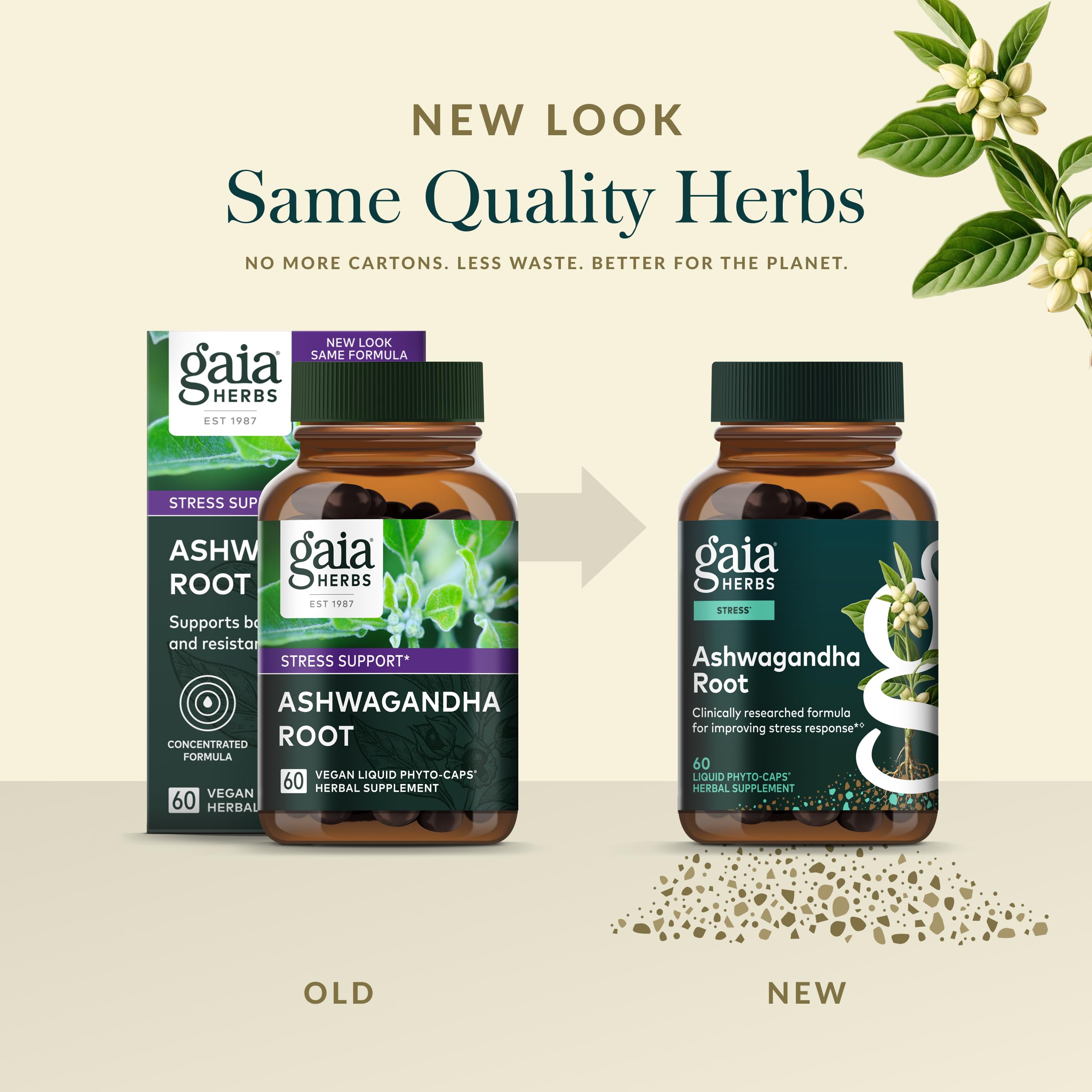 Gaia Herbs global sourcing process graphic communicates quality and integrity in ingredients.