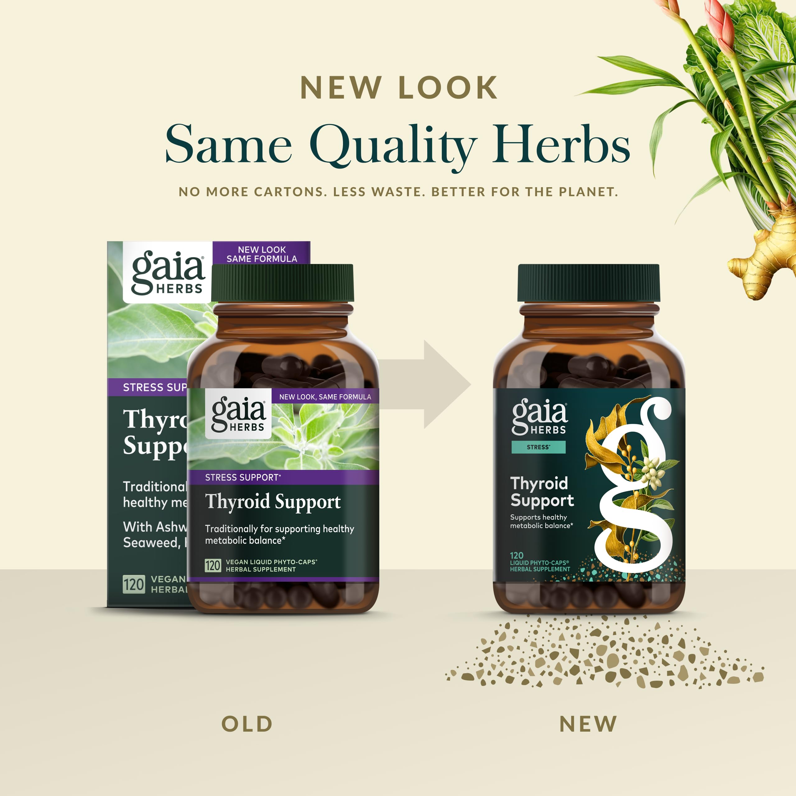 Graphic highlight of ashwagandha, kelp and schisandra within Gaia product