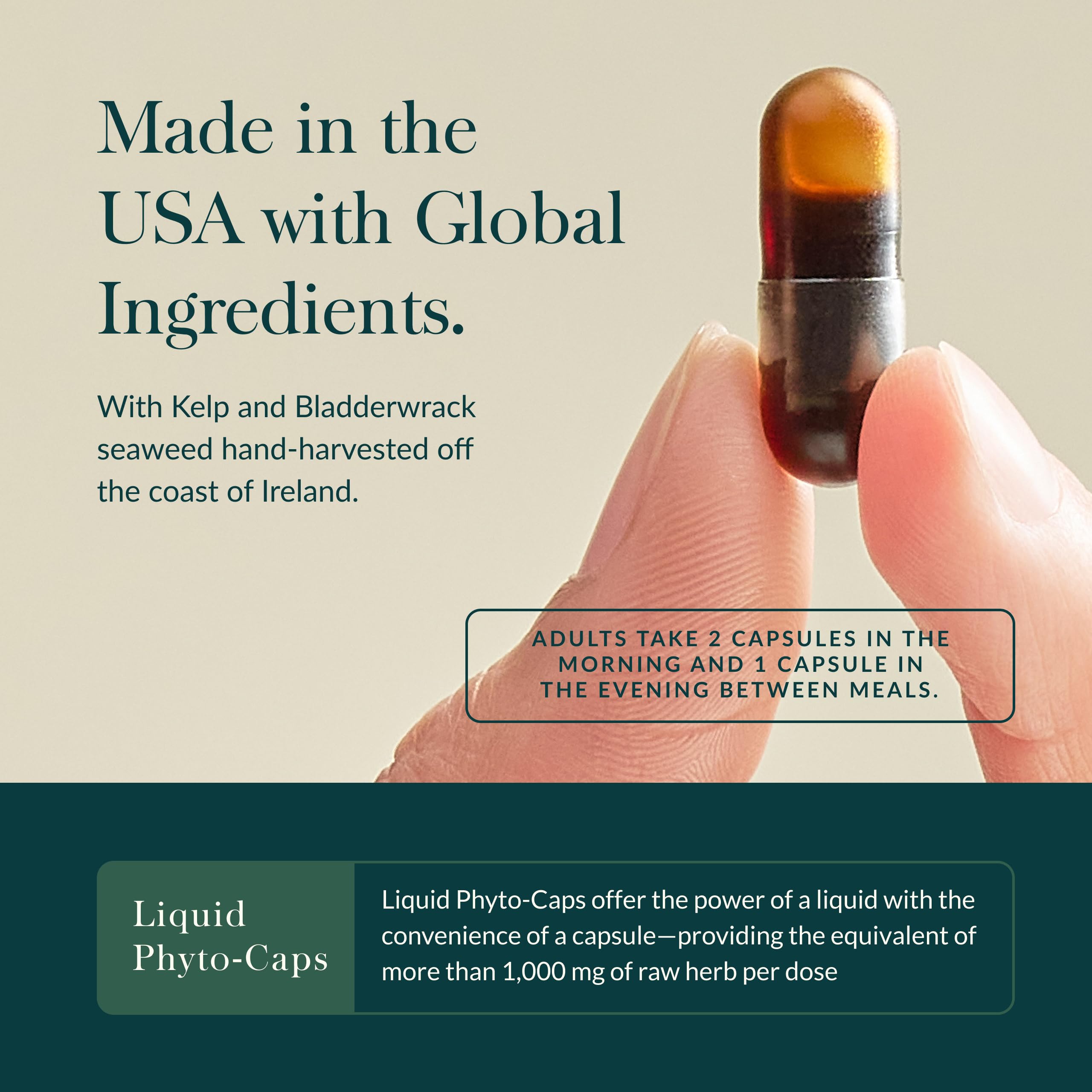 Schisandra berries imagery signals adaptogenic ingredients in Gaia Thyroid Support