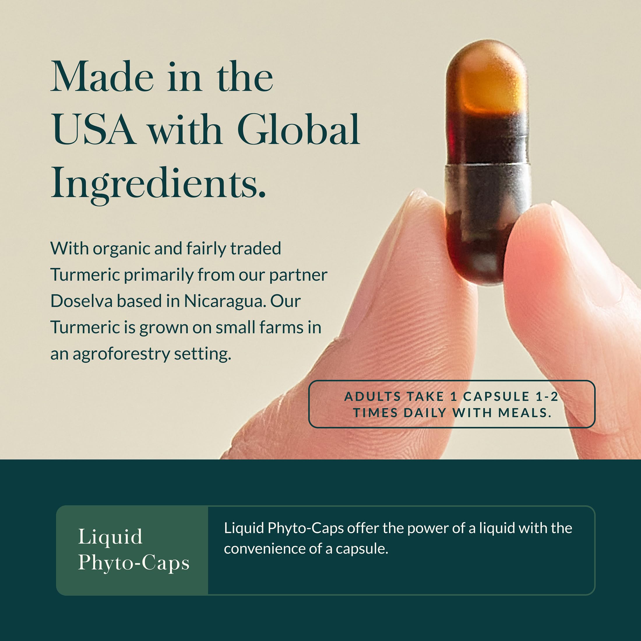 Detail of Gaia Herbs Turmeric Supreme label highlighting turmeric curcumin and black pepper